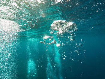 High angle view of swimming in sea