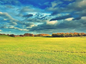 Scenic view of field against sky