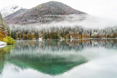 Scenic view of lake by trees against sky