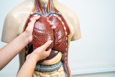Cropped hand of woman holding food