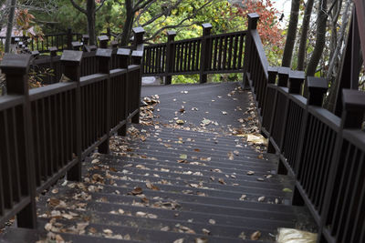 Wooden foot bridge amidst trees in yard