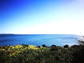 Scenic view of sea against clear blue sky