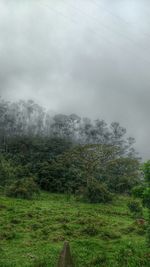 Scenic view of grassy field against cloudy sky