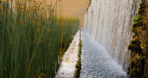 Scenic view of waterfall