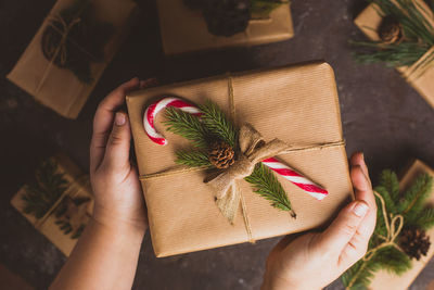 Midsection of woman holding leaves