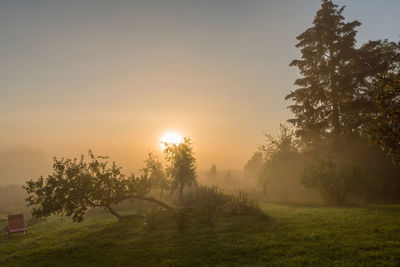 Sunrise on an early autumn day in the uckermark, germany