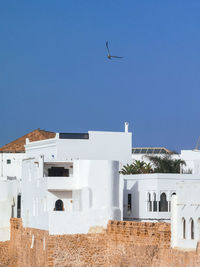 Aerial view over the old medina of asilah in morocco