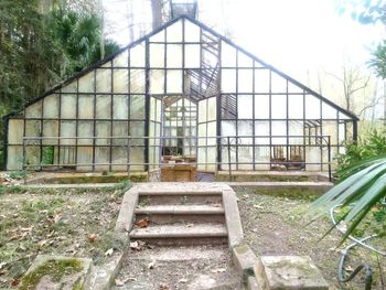 Steps in greenhouse