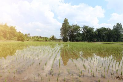 Scenic view of lake against sky