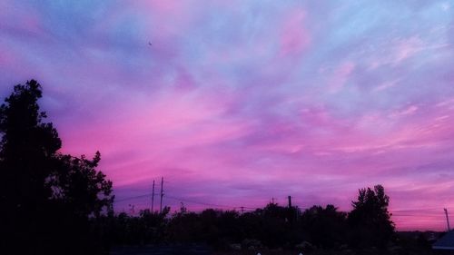 Low angle view of silhouette trees against sky during sunset