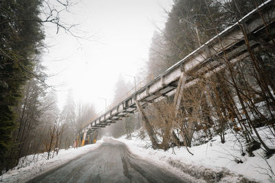 Snow covered road amidst trees during winter