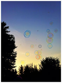 Low angle view of trees against blue sky