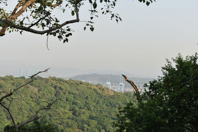 Scenic view of trees and plants against sky