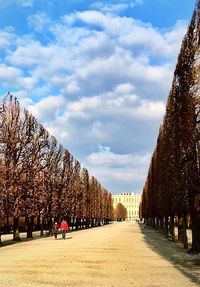 View of trees against cloudy sky