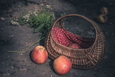 High angle view of fruits in basket