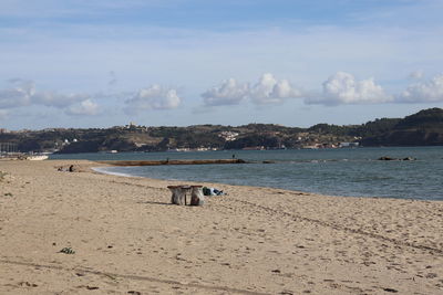 Scenic view of beach against sky