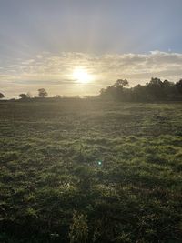 Scenic view of field against sky