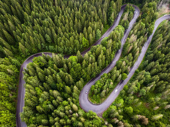 Aerial view of road by trees