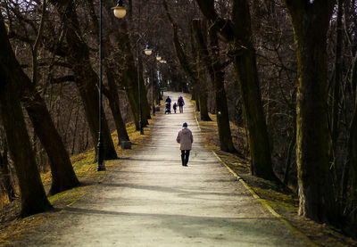 Rear view of woman walking amidst trees