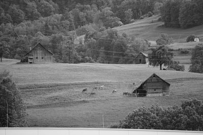 House on field by trees and houses