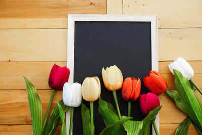 Close-up of tulips on table