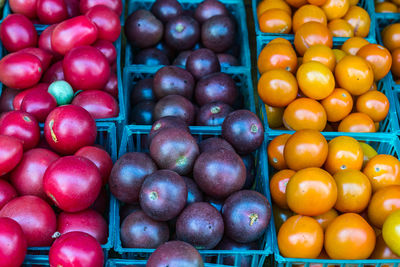 Full frame shot of various types, colors and sizes of ripe tomatoes for sale at farmers market 