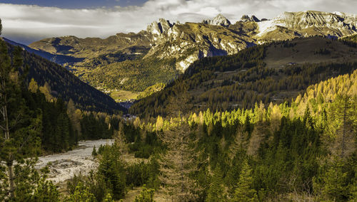 Scenic view of pine trees and mountains against sky