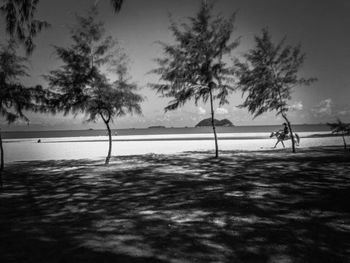 Silhouette trees on beach against sky