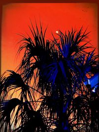 Low angle view of palm trees against sky