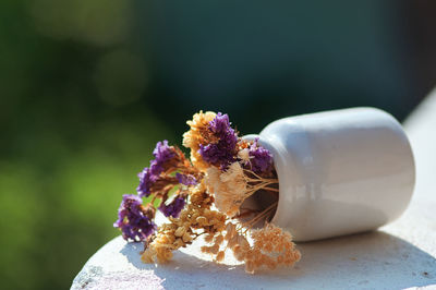 Close-up of purple flowering plant on table