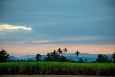 Scenic view of against sky during sunset