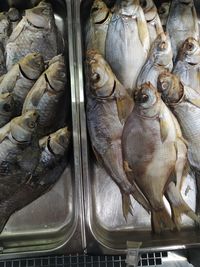 High angle view of fish for sale in market