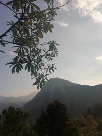 Scenic view of tree mountains against sky