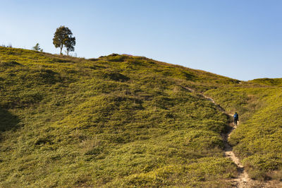 Man walking on mountain against clear sky