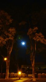 Illuminated street light at night