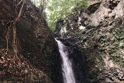 Scenic view of waterfall in forest