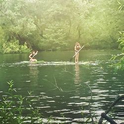 Reflection of trees in lake