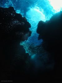 People swimming in sea