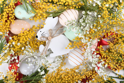 High angle view of white flowering plant