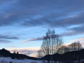 Silhouette bare trees on landscape against sky during sunset