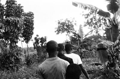 Rear view of man photographing against clear sky