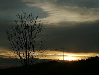 Silhouette bare tree against sky during sunset