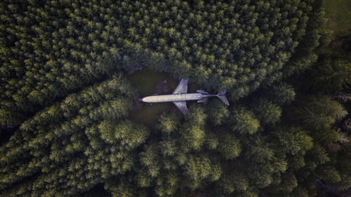 High angle view of airplane flying against trees