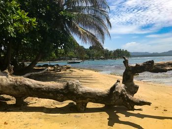 Scenic view of beach against sky