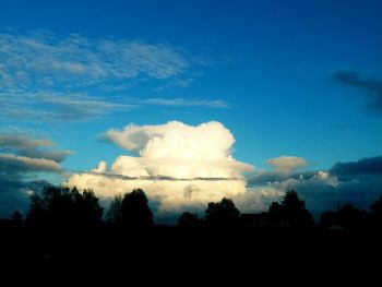 Low angle view of silhouette trees against sky