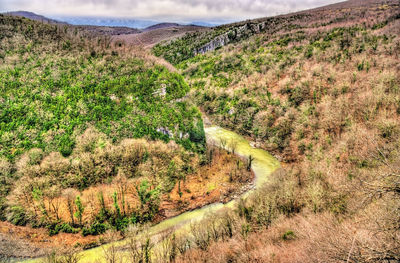 Scenic view of field against mountain