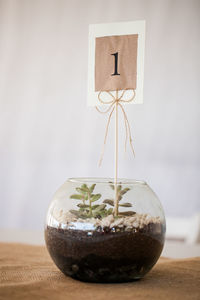 Close-up of houseplant with number 1 label on table