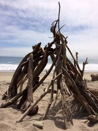 Driftwood on beach against sky