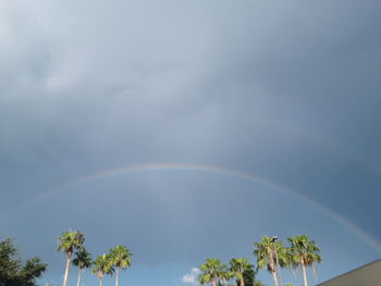 Low angle view of trees against rainbow in sky