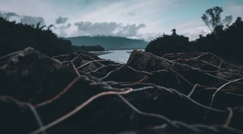 Close-up of rocks on land against sky